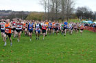 Red start, North East Harrier League.